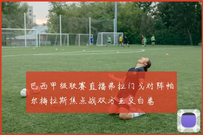 巴西甲级联赛直播弗拉门戈对阵帕尔梅拉斯焦点战双方互交白卷