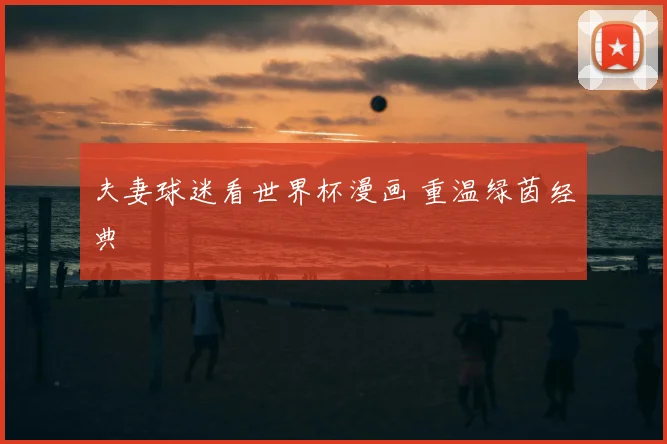 夫妻球迷看世界杯漫画 重温绿茵经典