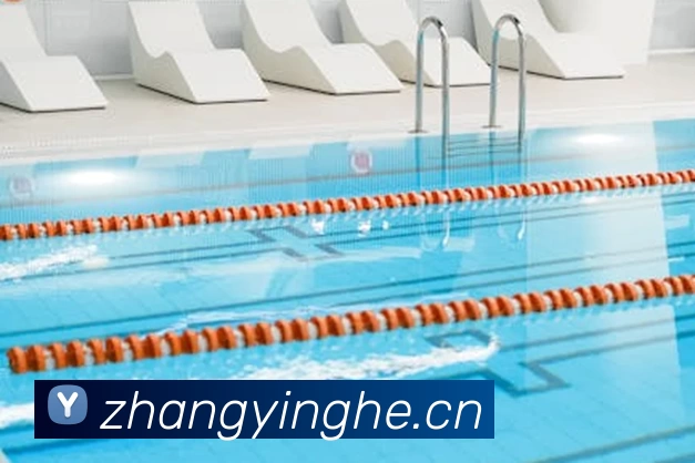 多媒体互动体验